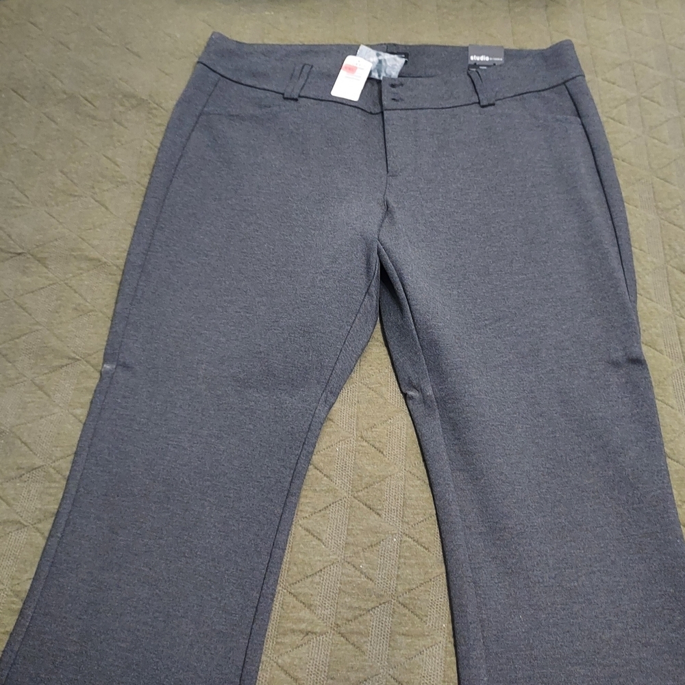 Torrid Gray Slacks